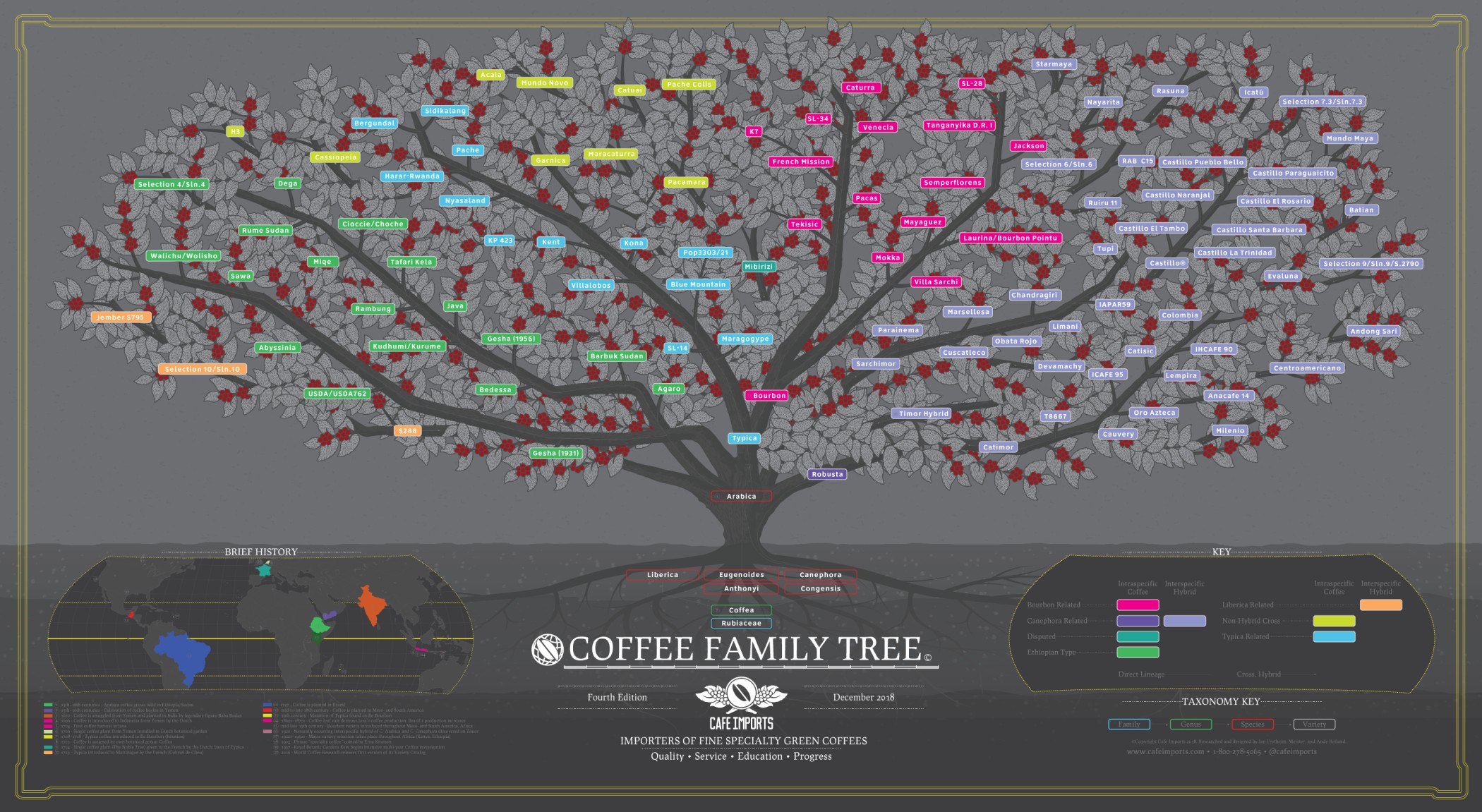 Coffee Family Tree